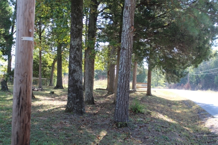 Country House & Land, Starter or Investment For Sale Auction - image 13