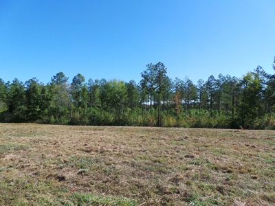 Lakefront Farm Auction Kerr Lake - image 7