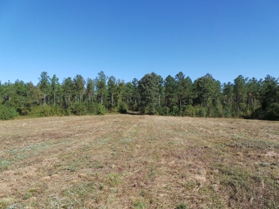 Lakefront Farm Auction Kerr Lake - image 6