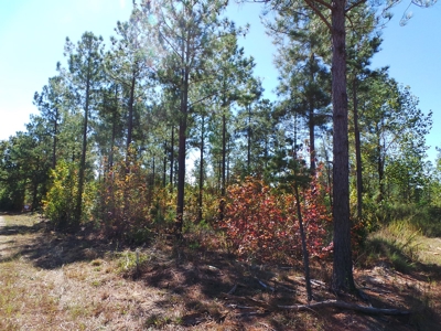 Lakefront Farm Auction Kerr Lake - image 5