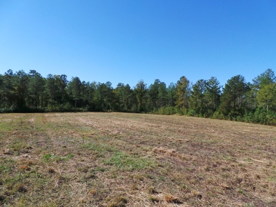 Lakefront Farm Auction Kerr Lake - image 8