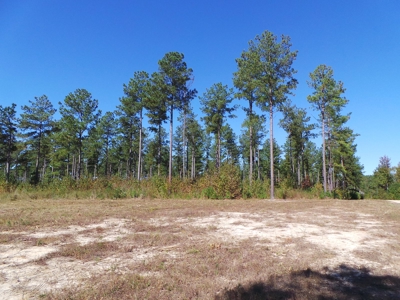Lakefront Farm Auction Kerr Lake - image 3