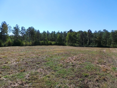 Lakefront Farm Auction Kerr Lake - image 2
