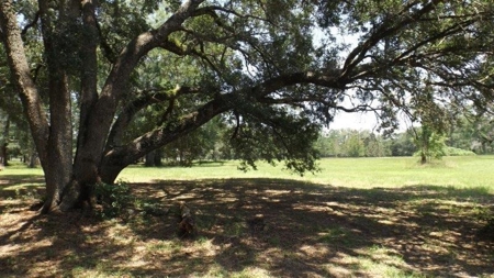 Georgia Country Home with Acreage - Early Co (Jakin) GA - image 18
