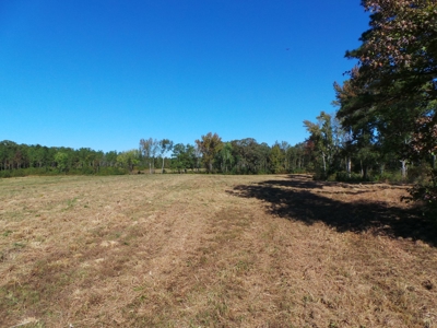 Auction Lakefront Farms On Kerr Lake Auction - image 6