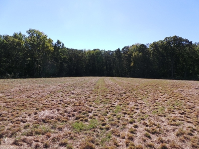 Auction Lakefront Farms On Kerr Lake Auction - image 3