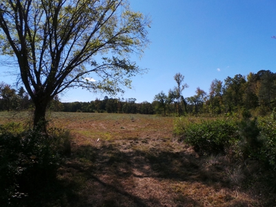 Auction Lakefront Farms On Kerr Lake Auction - image 7