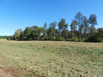 Auction Lakefront Farms On Kerr Lake Auction - image 10