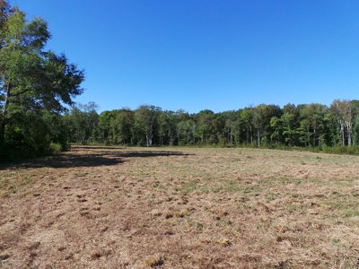 Auction Lakefront Farms On Kerr Lake Auction - image 4