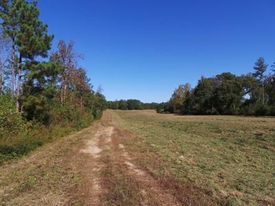 Auction Lakefront Farms On Kerr Lake Auction - image 8