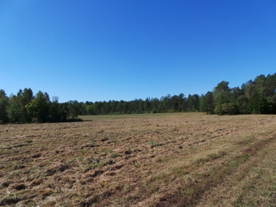 Auction Lakefront Farms On Kerr Lake Auction - image 10