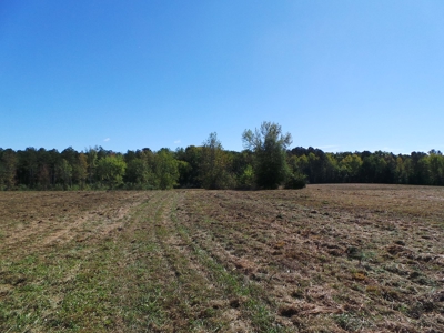 Auction Lakefront Farms On Kerr Lake Auction - image 8