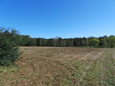 Auction Lakefront Farms On Kerr Lake Auction - image 7