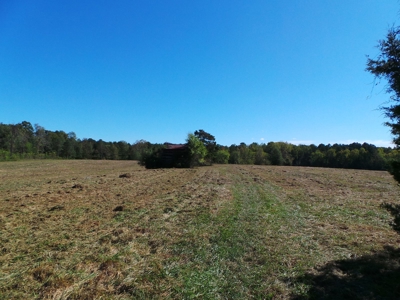 Auction Lakefront Farms On Kerr Lake Auction - image 3