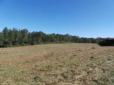 Auction Lakefront Farms On Kerr Lake Auction - image 4