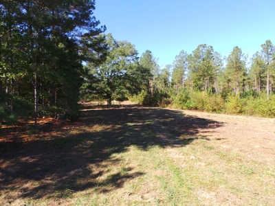 Auction Lakefront Farms On Kerr Lake Auction - image 6