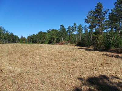 Auction Lakefront Farms On Kerr Lake Auction - image 18