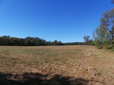 Auction Lakefront Farms On Kerr Lake Auction - image 11