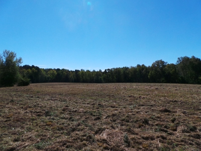 Auction Lakefront Farms On Kerr Lake Auction - image 9