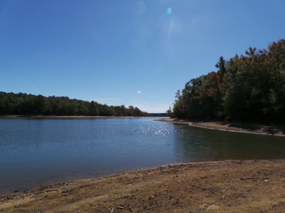Auction Lakefront Farms On Kerr Lake Auction - image 12