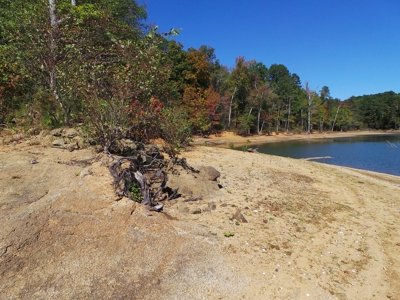 Auction Lakefront Farms On Kerr Lake Auction - image 17