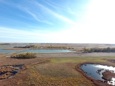 SOLD!!! 500.4+/-Acres Crop & Rec Land - image 7