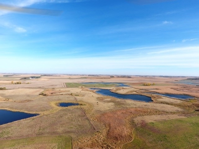 SOLD!!! 500.4+/-Acres Crop & Rec Land - image 11