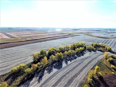 SOLD!!! 500.4+/-Acres Crop & Rec Land - image 1