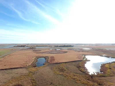 SOLD!!! 500.4+/-Acres Crop & Rec Land - image 4