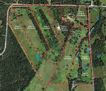 Leon County Land & Home Auction - image 1