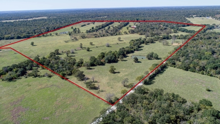 Leon County Land & Home Auction - image 4