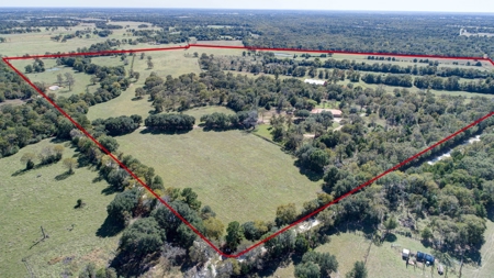Leon County Land & Home Auction - image 9