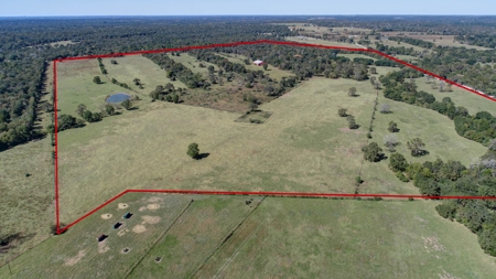 Leon County Land & Home Auction - image 2