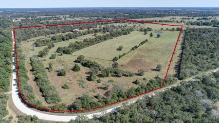 Leon County Land & Home Auction - image 5