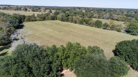 Leon County Land & Home Auction - image 10