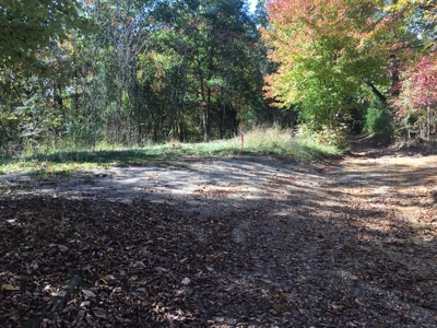 Fixer Upper Home and Building Lots Selling at Auction - image 2