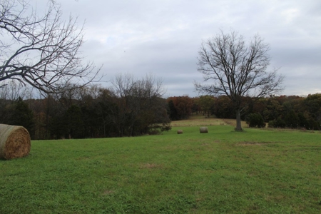Selling 77 Acre Cattle Farm and Home in 10 Tracts @ Auction - image 14