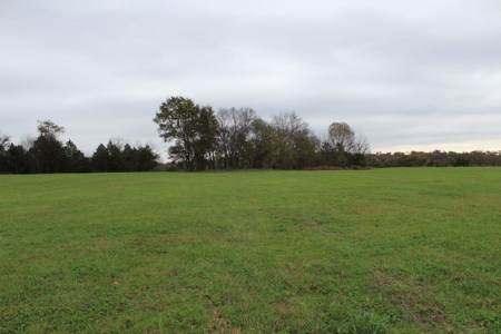 Selling 77 Acre Cattle Farm and Home in 10 Tracts @ Auction - image 11