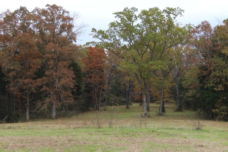 Selling 77 Acre Cattle Farm and Home in 10 Tracts @ Auction - image 19