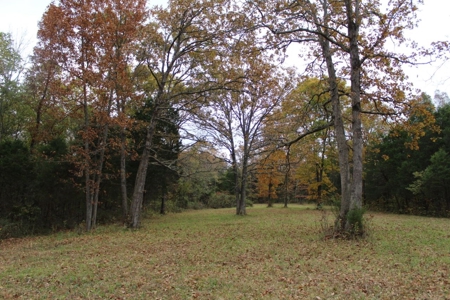Selling 77 Acre Cattle Farm and Home in 10 Tracts @ Auction - image 23