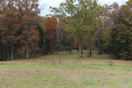 Selling 77 Acre Cattle Farm and Home in 10 Tracts @ Auction - image 20
