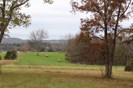Selling 77 Acre Cattle Farm and Home in 10 Tracts @ Auction - image 30