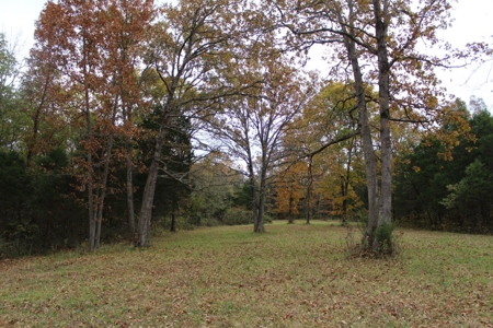 Selling 77 Acre Cattle Farm and Home in 10 Tracts @ Auction - image 24