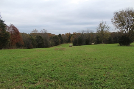 Selling 77 Acre Cattle Farm and Home in 10 Tracts @ Auction - image 13