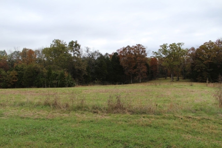 Selling 77 Acre Cattle Farm and Home in 10 Tracts @ Auction - image 16