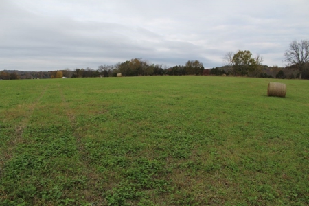 Selling 77 Acre Cattle Farm and Home in 10 Tracts @ Auction - image 8