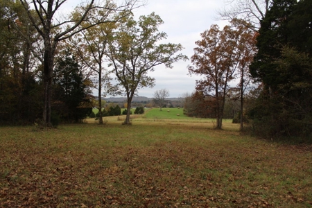Selling 77 Acre Cattle Farm and Home in 10 Tracts @ Auction - image 28