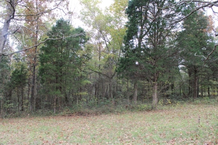 Selling 77 Acre Cattle Farm and Home in 10 Tracts @ Auction - image 25