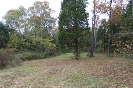 Selling 77 Acre Cattle Farm and Home in 10 Tracts @ Auction - image 27