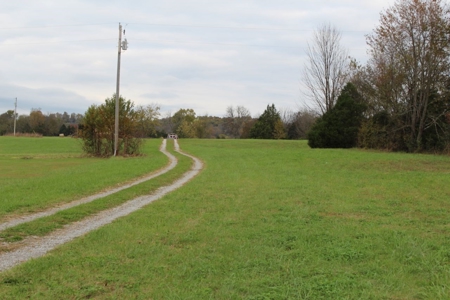 Selling 77 Acre Cattle Farm and Home in 10 Tracts @ Auction - image 4
